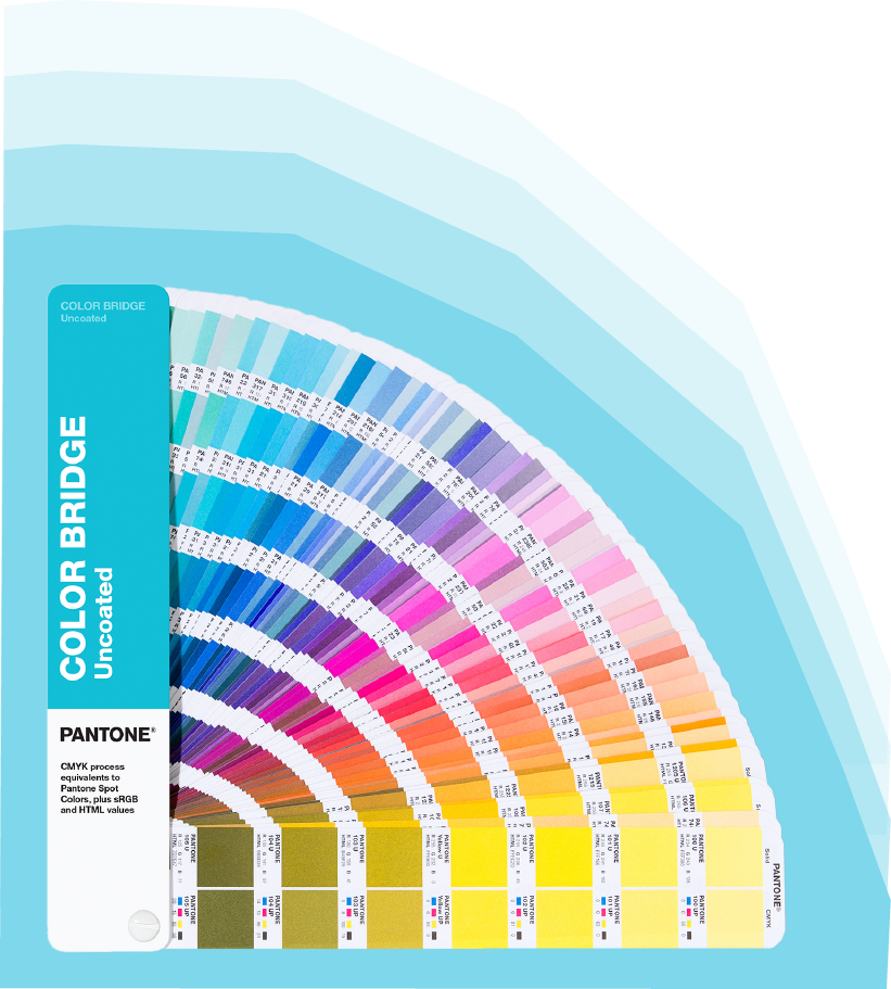 color bridge