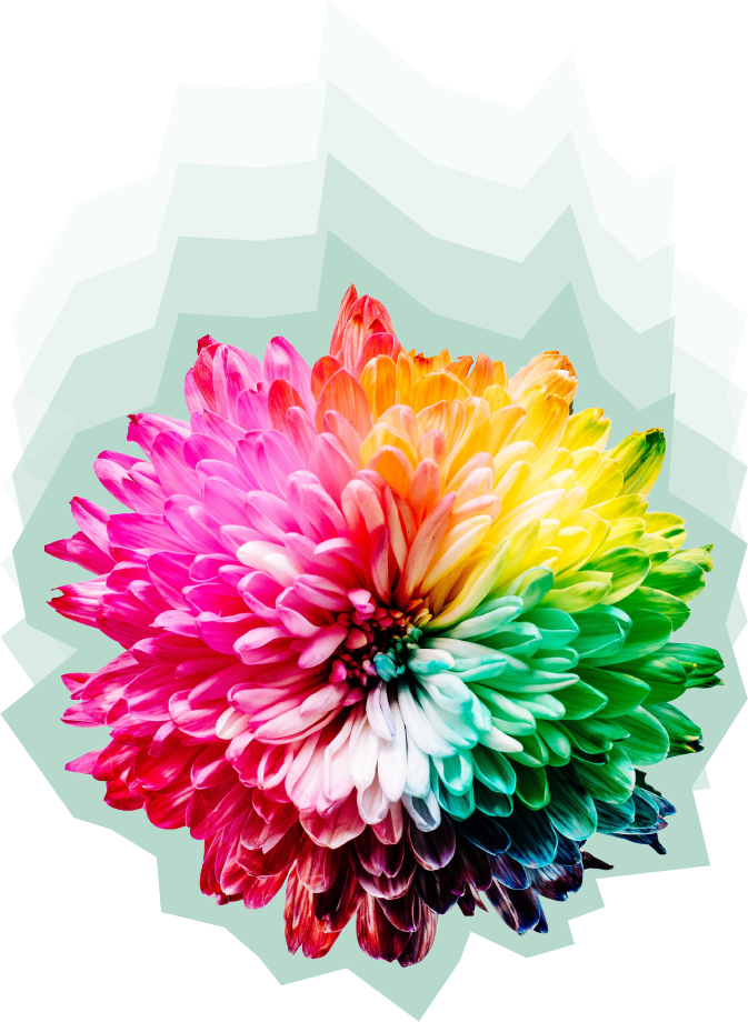 couleurs
